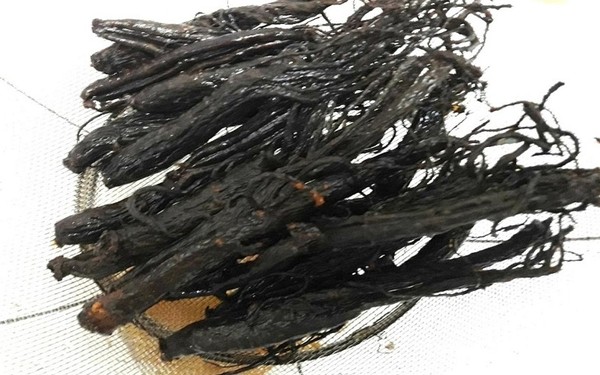 Đặc điểm nhận biết Hắc Sâm
